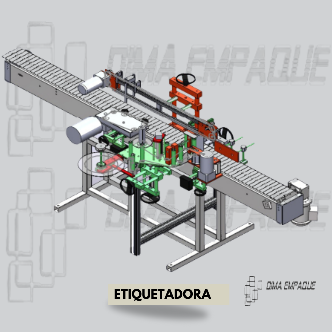 Frente y dorso redondo